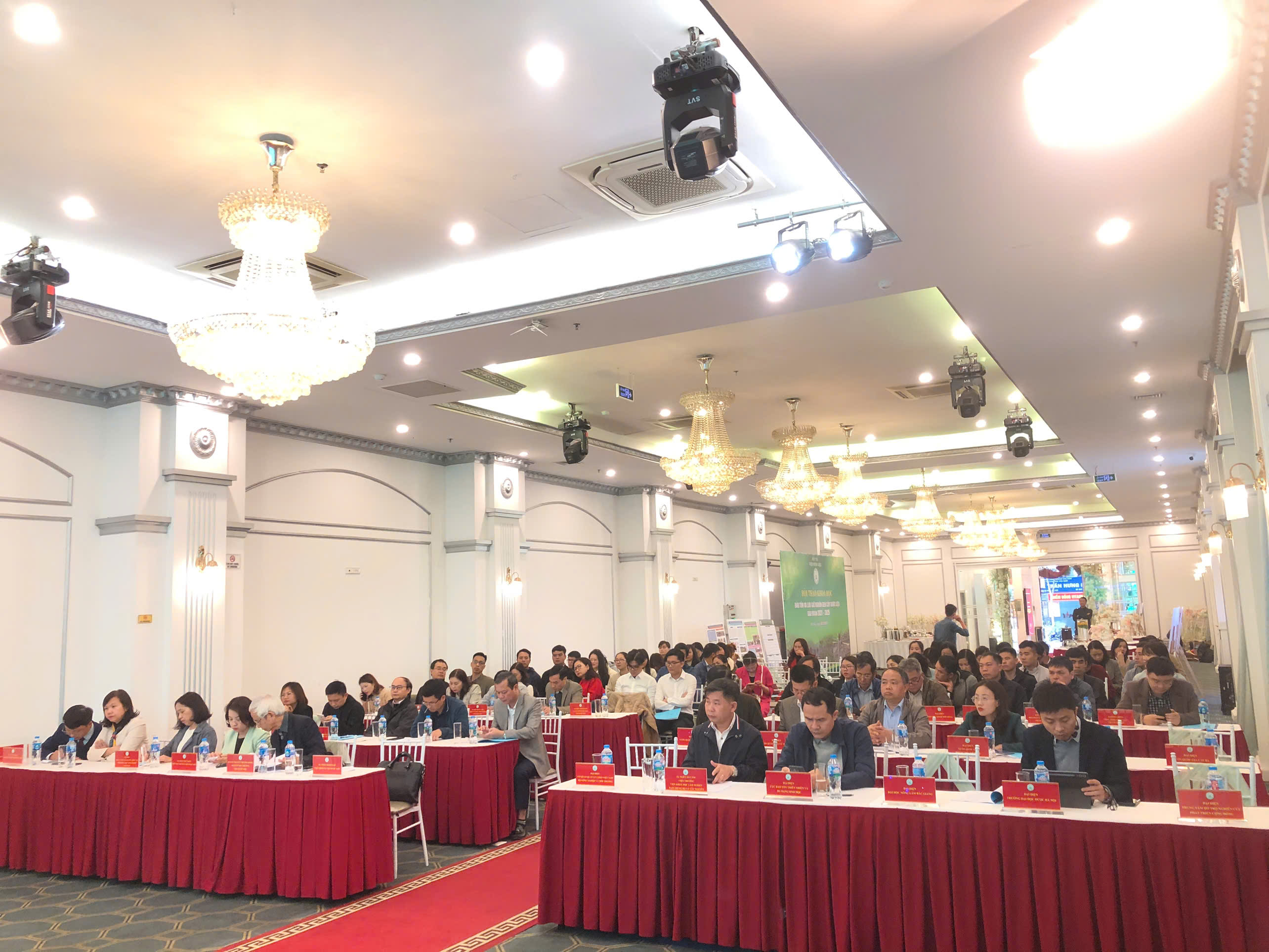 Không có ảnh